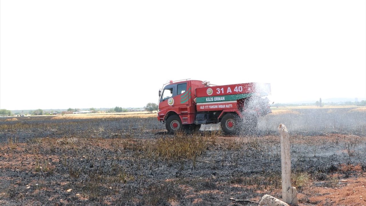 Kilis'te çıkan yangında yaklaşık 150 dönümlük buğday tarlası zarar gördü