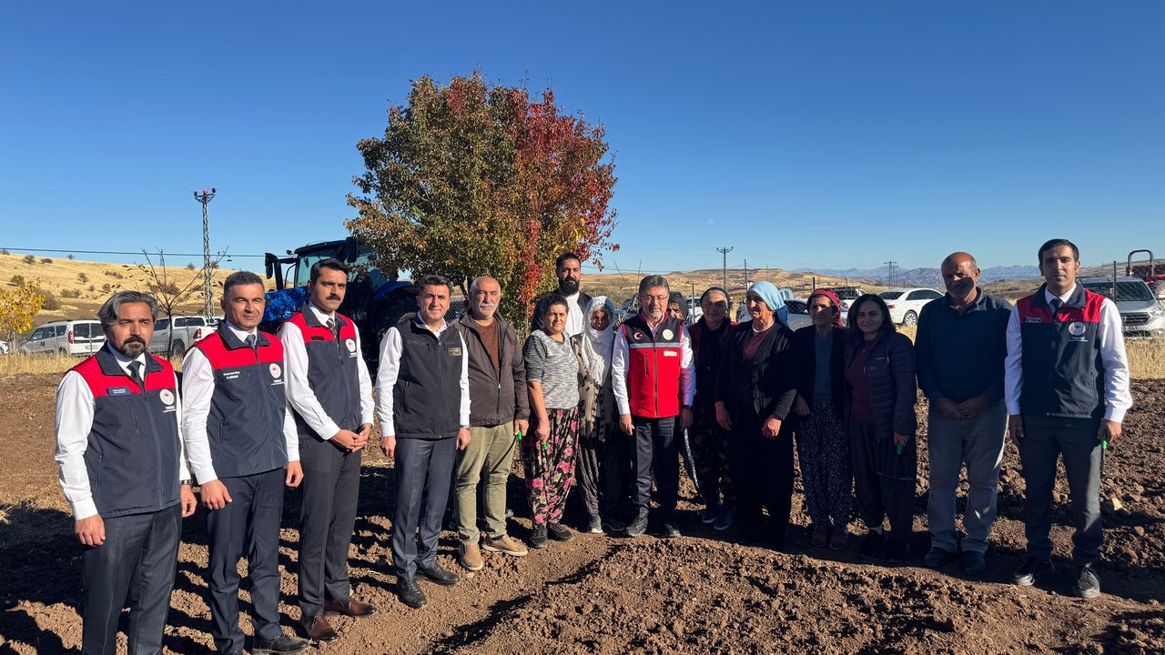 Bakan Yumaklı, Tunceli'de coğrafi işaretli dağ sarımsağının ekimini yaptı: