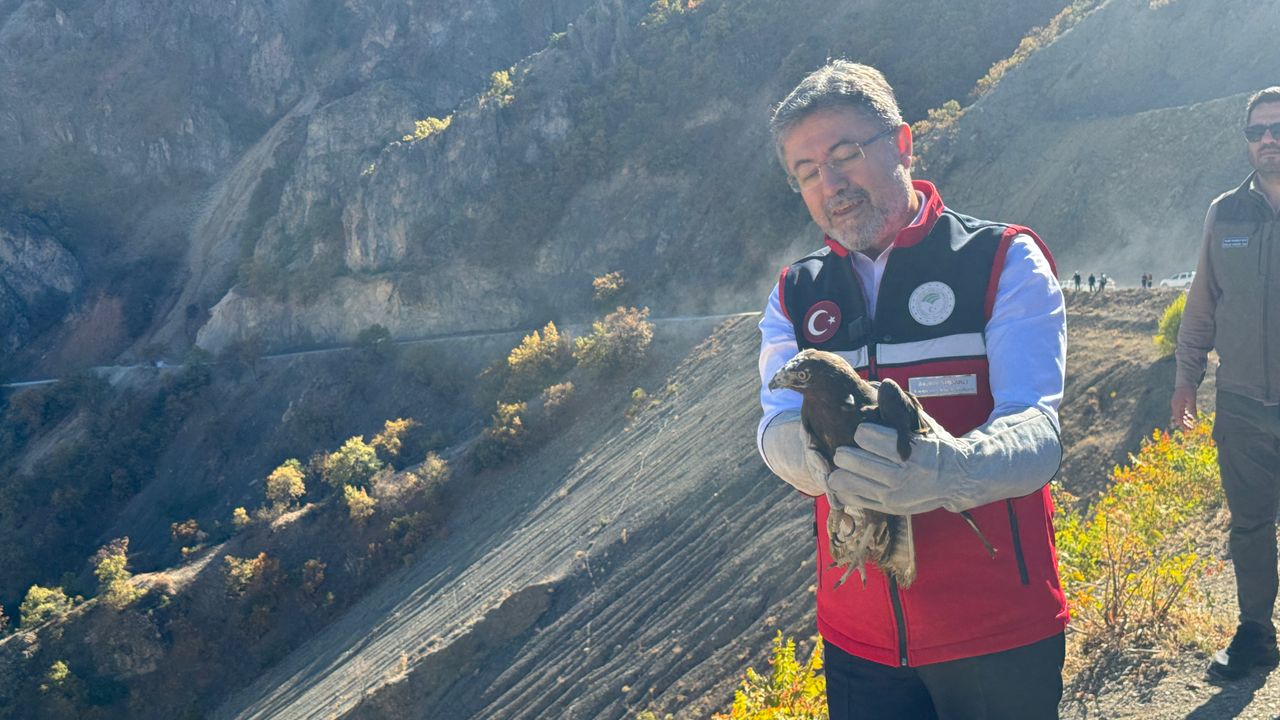 Bakan Yumaklı, Tunceli'de tedavisi tamamlanan yaralı yaban hayvanlarını doğaya saldı: