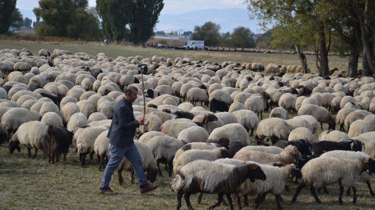 Göçerlerin yaylalardan dönüş yolculuğu sürüyor