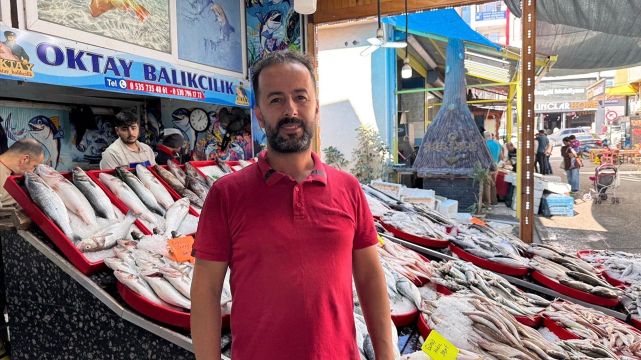 Hatay'da teknenin halatına dolanan köpek balığı kamerada