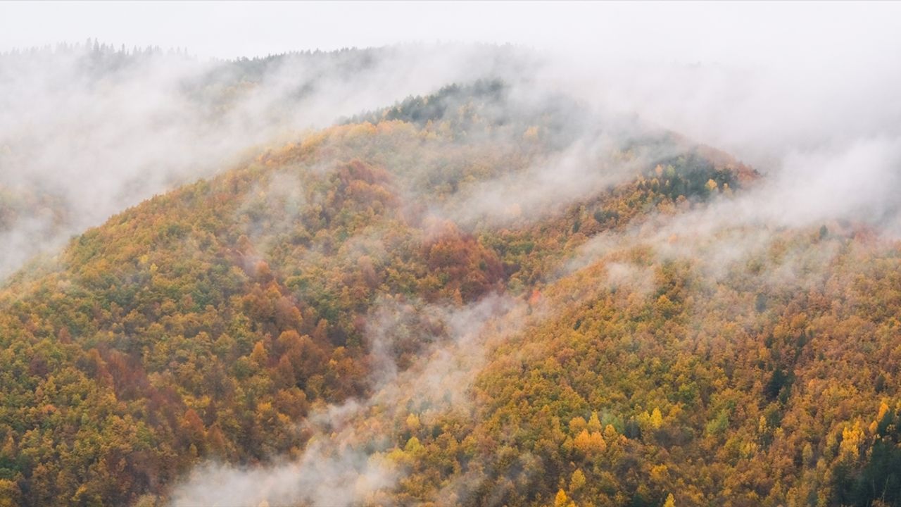 Ilgaz Dağı'nın yüksek kesimlerinde sis etkili oldu