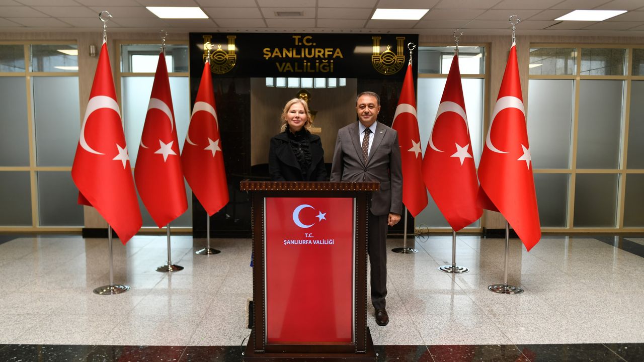 İsveç'in Ankara Büyükelçisi Malena Mard, Şanlıurfa'da ziyaretlerde bulundu