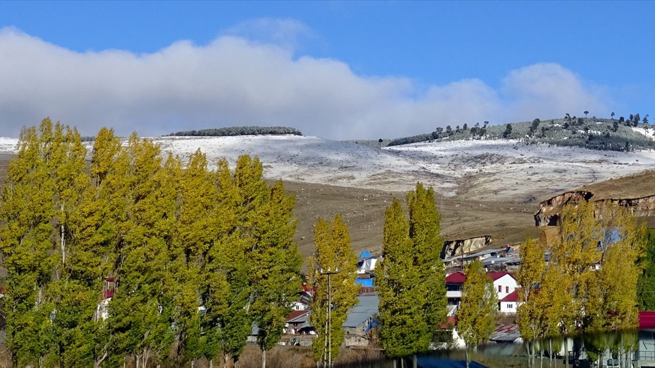 Kars'ta kar, soğuk hava ve kırağı etkili oldu