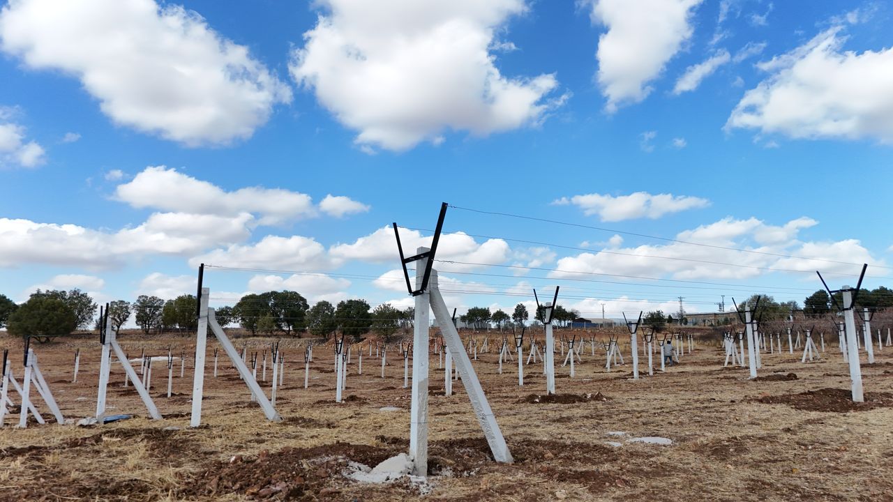 Mardin'de 120 dönüm atıl arazide modern bağcılık yapılıyor