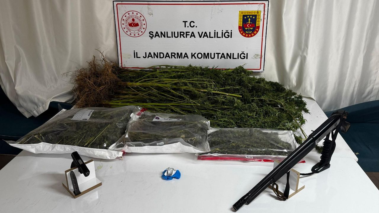 Şanlıurfa'da uyuşturucu operasyonlarında 4 şüpheli yakalandı