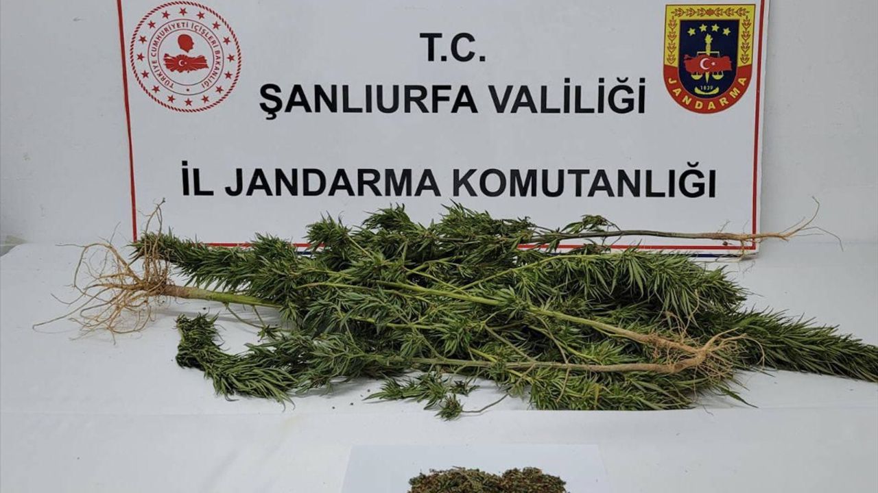 Şanlıurfa'da uyuşturucu operasyonunda 4 şüpheli yakalandı