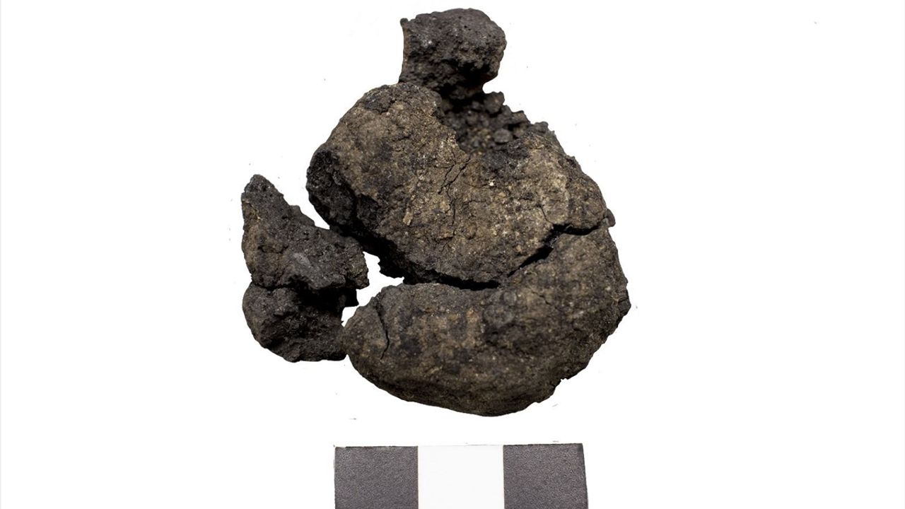 Tavşanlı'da 4 bin yıllık nohut, Çatalhöyük'te 8 bin 600 yıllık ekmek kalıntıları gün yüzüne çıkarıldı