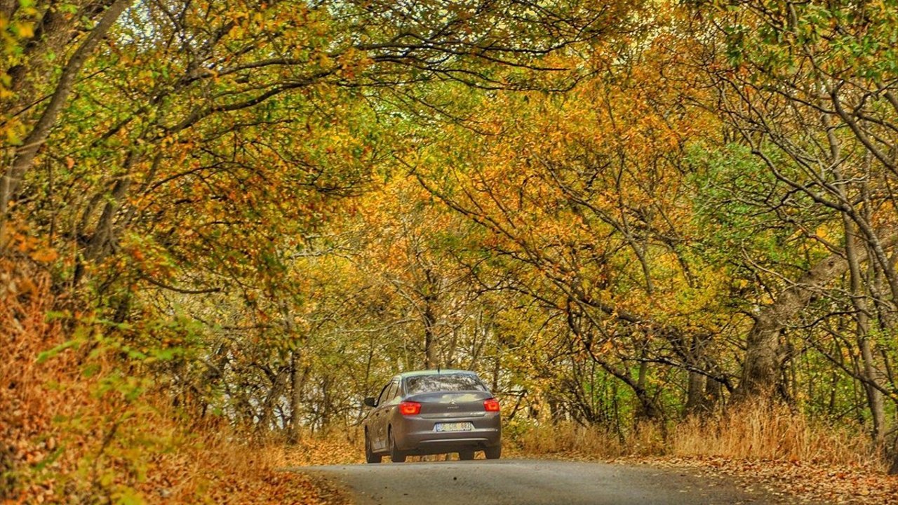 Bitlis'te Hizan ormanları hazan renklerine büründü