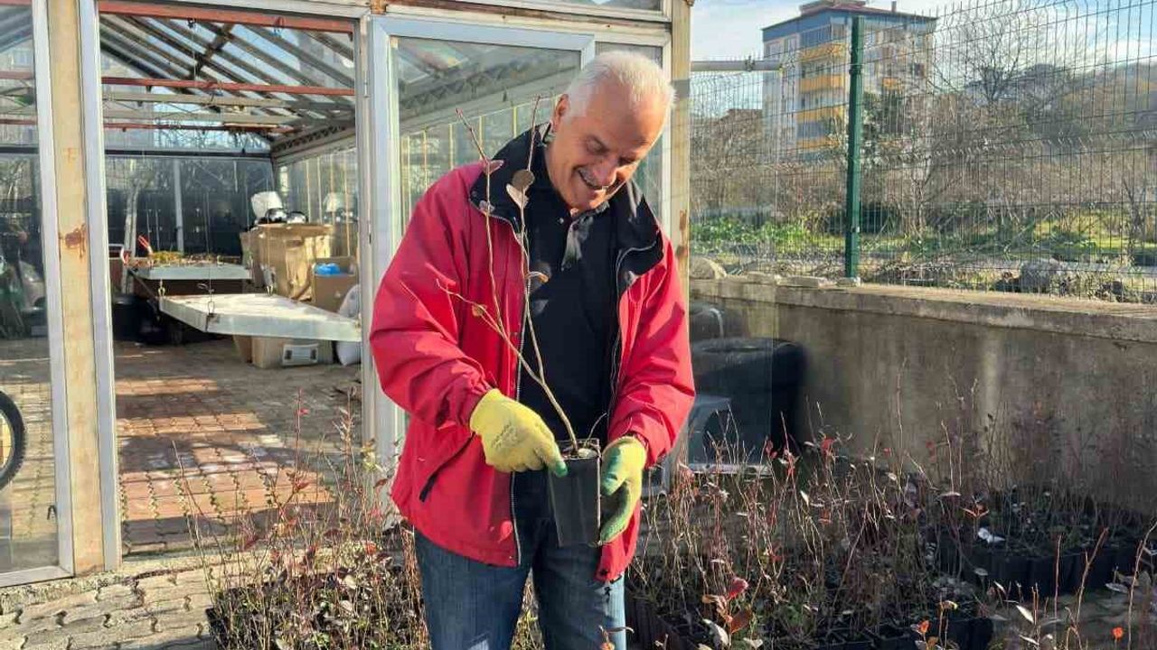 Giresun'dan mavi yemiş atağı