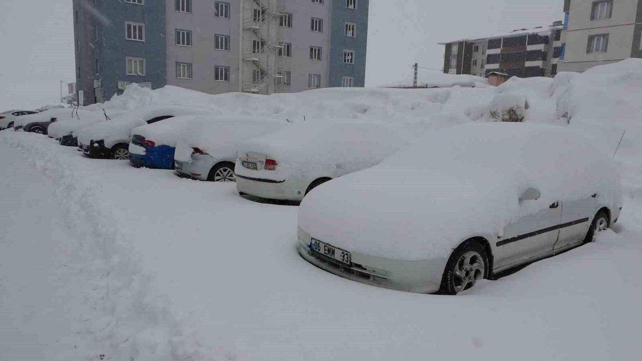 Bitlis'te mart karı 288 köy yolu ulaşıma kapattı