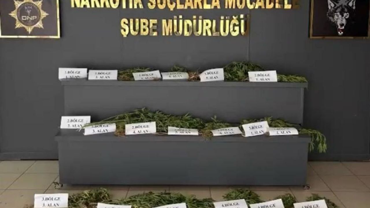 UNESCO Dünya Mirası Listesi'ndeki Hevsel Bahçeleri'nde uyuşturucu ele geçirildi