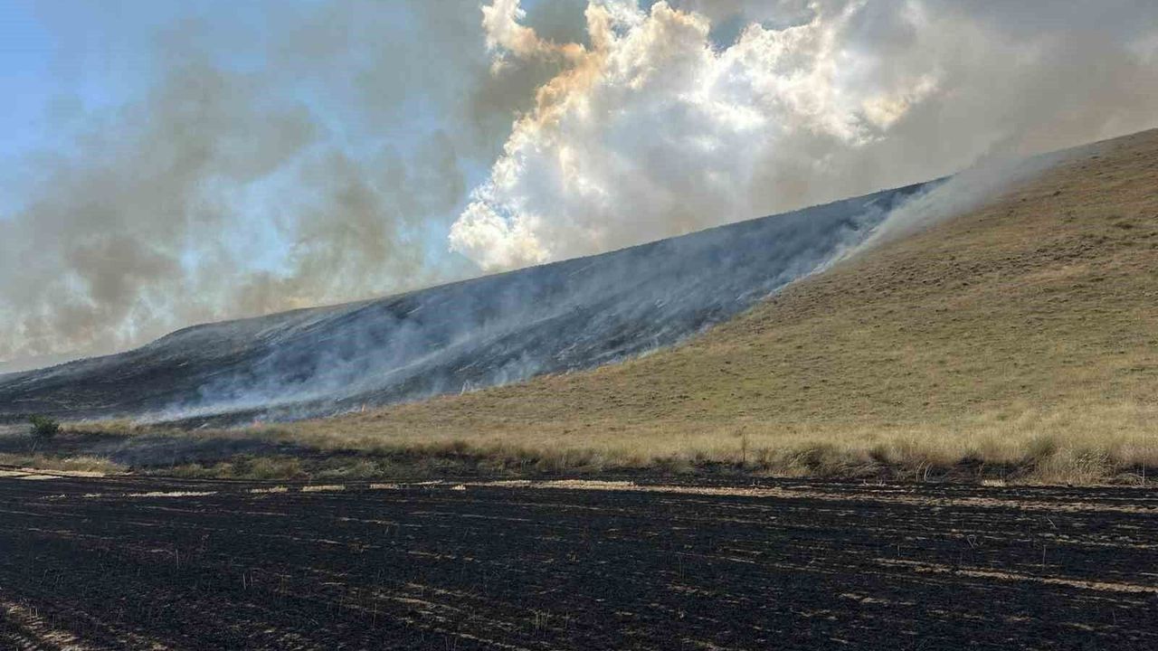Bitlis'te örtü yangını: 400 dönüm alan küle döndü