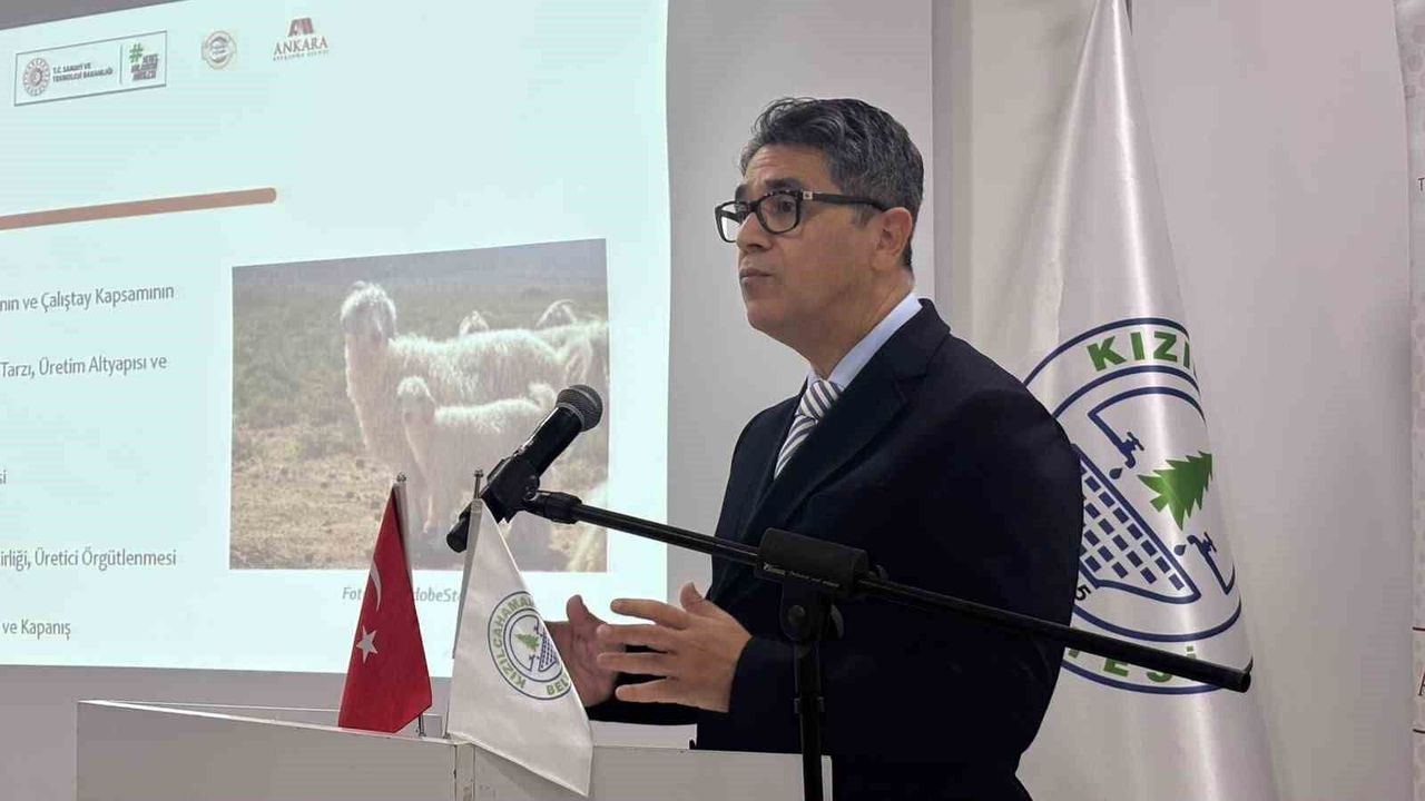 Ankara keçisinin geleceği için çalıştay düzenlendi