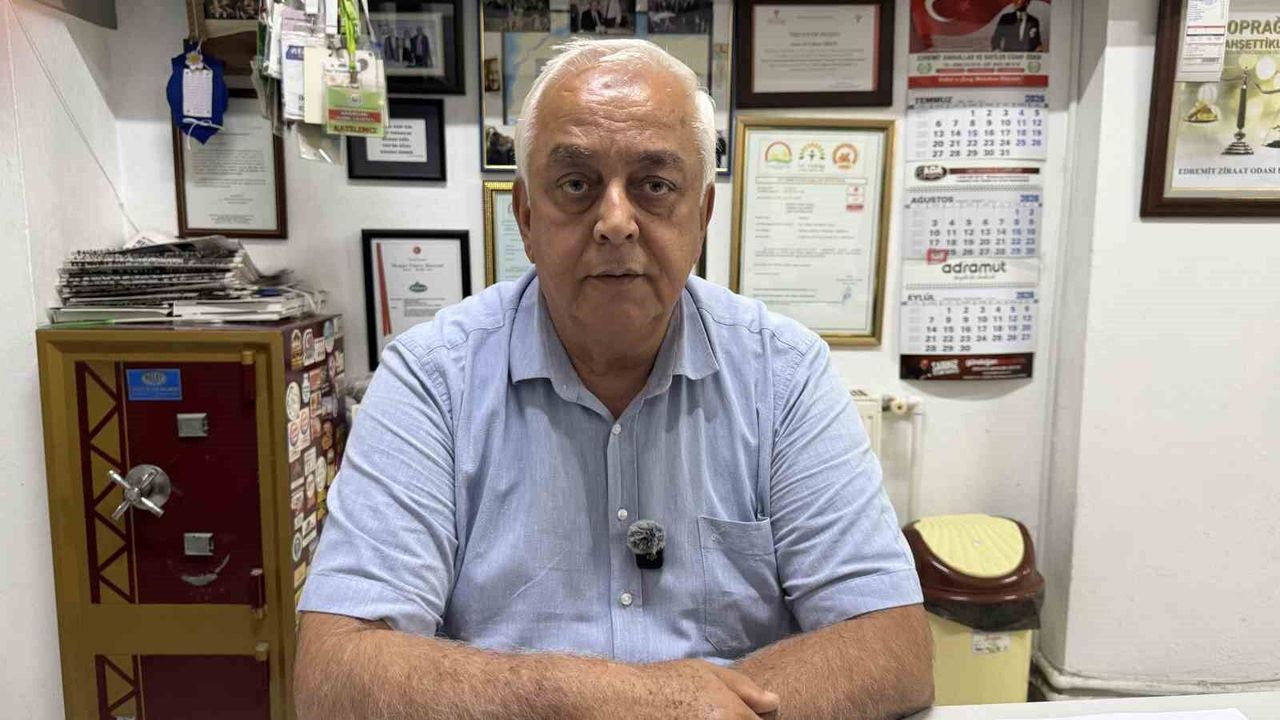 Ziraat Odası Başkanı Diker: 'Tağşişli zeytinyağı fiyatları hakiki zeytinyağını geçti'