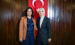 Bakan Göktaş, Filistinli mevkidaşıyla Türkiye'ye getirilen Gazzeli hasta çocuklarla buluştu