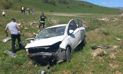Bingöl'de şarampole devrilen otomobildeki baba öldü, anne ve bebeği yaralandı