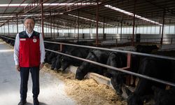 Kırsalda Bereket Hayvancılığa Destek Projesi'nde 4 bin 351 hak sahibi belirlendi