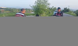 Samsun'da kayıp olarak aranan kişi trafik kazasında yaralandı