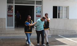 Adana'da 7 otomobile zarar verdiği gerekçesiyle 1 şüpheli yakalandı