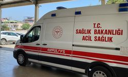 Adana'da orman yangını çıktı