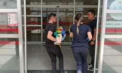 Adıyaman'da devrilen minibüsteki 4'ü çocuk 5 kişi yaralandı