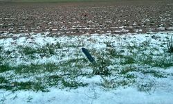 Aksaray'da dolu tarım arazilerine zarar verdi