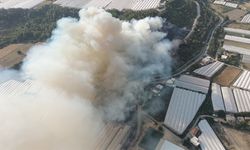 Antalya'da çıkan 2 ayrı orman yangınına müdahale ediliyor