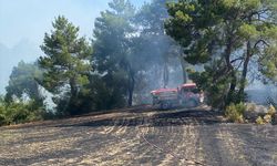 Antalya'da ormanlık alanda çıkan yangın kontrol altına alındı