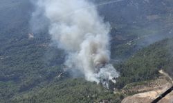 Antalya'nın Finike ilçesinde orman yangını çıktı