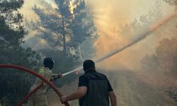 Antalya'nın Gazipaşa ilçesinde çıkan orman yangını söndürülmeye çalışılıyor