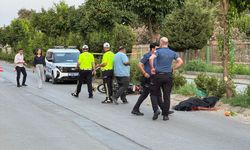 Aydın'da ağaca çarpan motosikletin sürücüsü hayatını kaybetti
