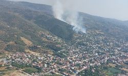 Aydın'da ziraat alanında çıkan yangına müdahale ediliyor