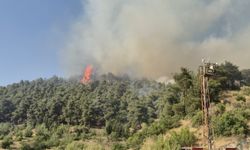 Balıkesir Bigadiç'te çıkan orman yangınına müdahale ediliyor