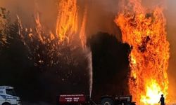 Balıkesir'de 4 noktada çıkan arazi ve orman yangınlarına müdahale ediliyor