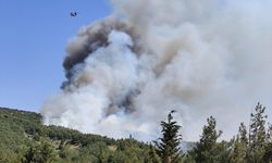 Balıkesir'de çıkan orman yangınına müdahale ediliyor