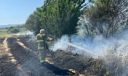 Balıkesir'de çıkan yangında 12 dekarlık arpa tarlası zarar gördü