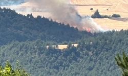 Bilecik'in Osmaneli ilçesindeki orman yangınına müdahale ediliyor