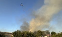 Bilecik'te çıkan orman yangınına müdahale ediliyor
