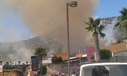 Bodrum'da çıkan orman yangınına müdahale ediliyor