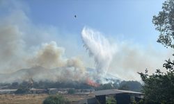 Bodrum'da makilik alanda çıkan ve rüzgarla yayılan yangına müdahale ediliyor