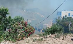 Bodrum'da makilik ve otluk alanda çıkan yangın söndürüldü