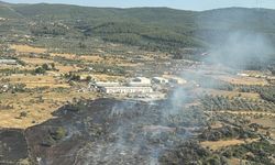 Bodrum'da tarım arazisinde çıkan yangın söndürüldü