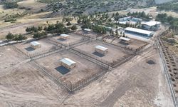 Burdur'da sahipsiz hayvanlar için yeni yaşam alanı oluşturuldu