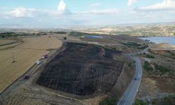 Bursa'da buğday tarlasında çıkan yangın söndürüldü