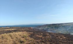 Çanakkale'de çıkan yangında 100 dönüm buğday ekili alan ve 150 dönüm makilik alan yandı