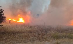 Çanakkale'de tarım arazisinde çıkan yangına müdahale ediliyor