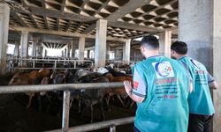 Cansuyu Derneği, Beyrut'taki Filistinli mülteci kampında Kurban Bayramı hazırlıklarını tamamladı