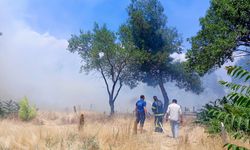 Denizli'de otluk alanda çıkan yangın kontrol altında