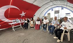 Diyarbakır anneleri evlatlarını istiyor
